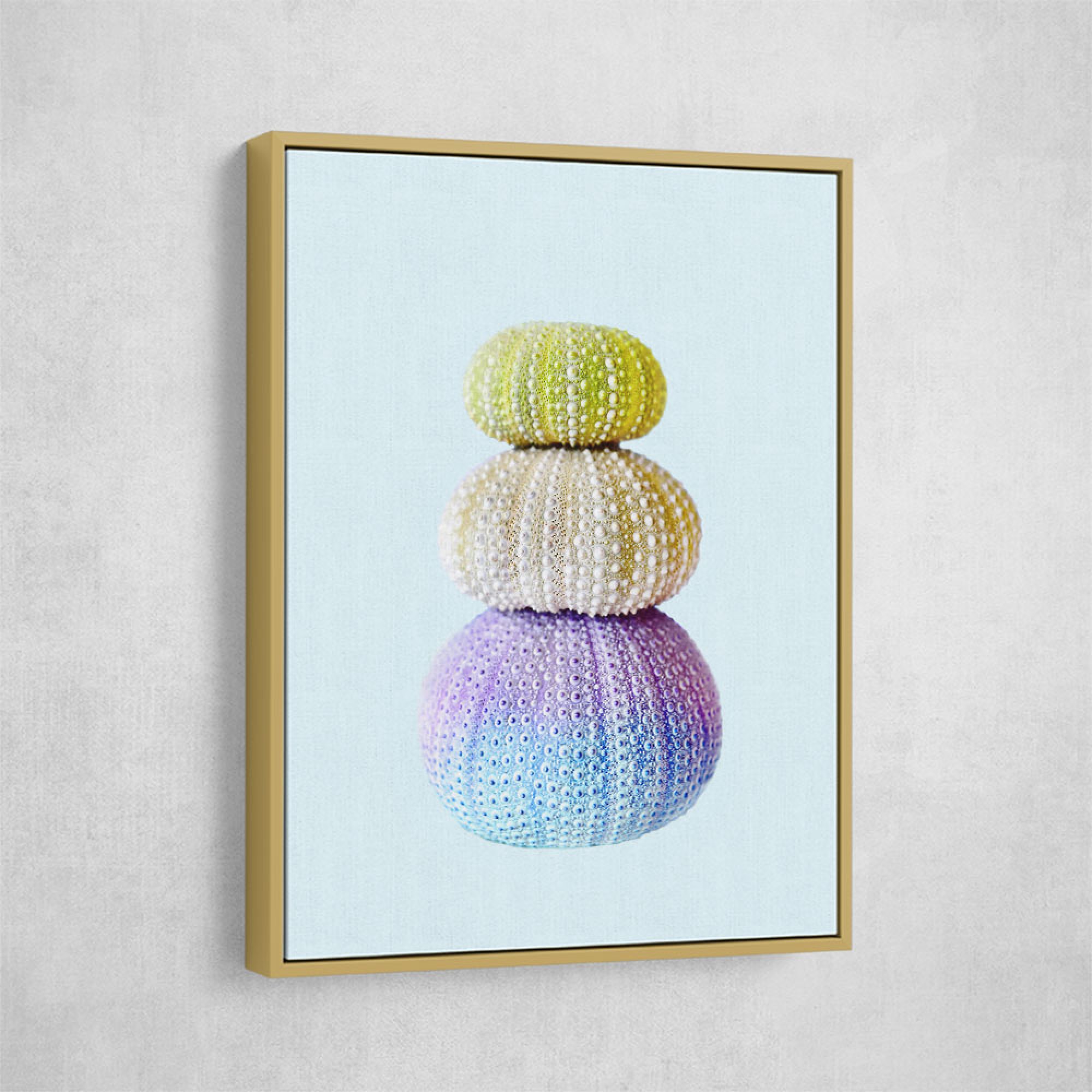 Sea Urchins Wall Art